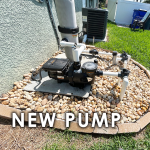 Drop in a Jandy - New Pump replacement - Zero Hassle - Professional Installation